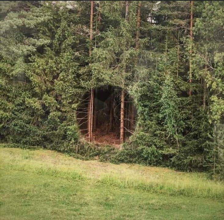Photo from news post