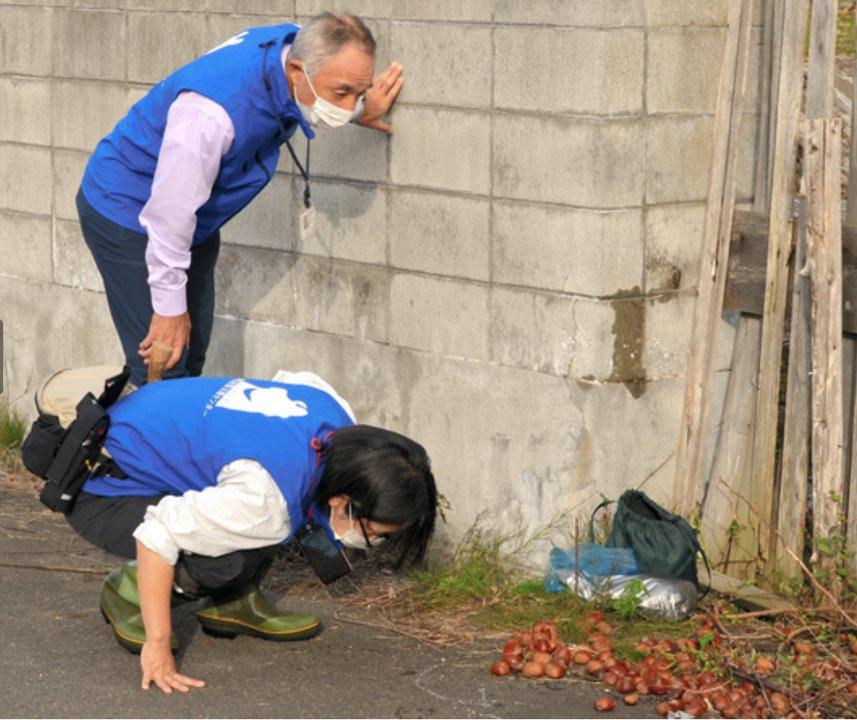 Photo from news post
