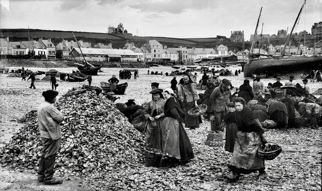 Oyster hunting and sorting in 19th-century France was an essential maritime and culinary practice that reflected both the country’s deep gastronomic traditions and the evolving dynamics of coastal economies.