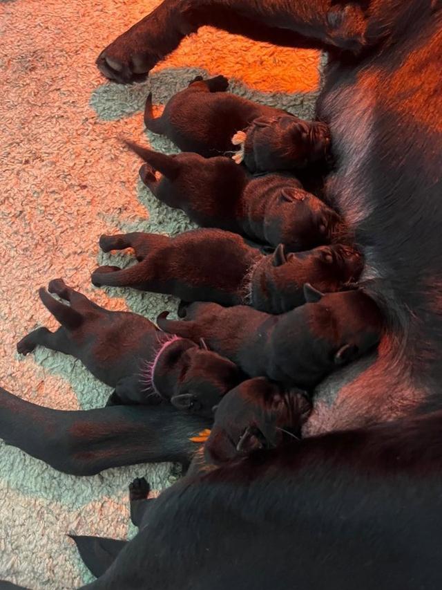 Photo from news post