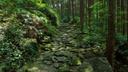 三重県での狩猟: 自然豊かな中部地方で楽しむ狩猟体験
三重県は、日本の中部地方に位置し、豊かな自然と多様な生態系を誇る地域です。このエリアは広大な山岳地帯、森林、そして湿地帯が特徴で、狩猟愛好家にとって理想的な環境を提供しています。本記事では、三重県での狩猟について詳しく解説し、地理的特徴から法律、伝統、興味深い事実までを網羅します。
地理的および自然的な特徴: 三重県の狩猟環境
三重県は、太平洋に面し、中部地方の南東部に位置しています。その地理的特徴は狩猟に適しており、以下の要素が注目されています：
山岳地帯 : 伊勢志摩国立公園や鈴鹿山脈などの山々は、鹿や猪といった大型獣の生息地となっています。
森林 : 広大な針葉樹林やブナ林は、小型哺乳類や鳥類の隠れ場所を提供します。
湿地帯と河川 : 木曽川や宮川周辺は、水鳥やカモなどの狩猟対象となる鳥類の生息地です。
気候 : 冬は比較的温暖で、春から秋にかけては穏やかな気候が続きます。これにより、動物の行動パターンが季節ごとに変化します。
これらの特徴により、三重県は多様な狩猟体験を提供する場となっています。
狩猟者と人口動態: 地域の狩猟文化
三重県には約3,000人の登録された狩猟者がいると推定されています（2022年のデータ）。この数字には、地元住民だけでなく、他県からの訪問者も含まれています。
人口動態の特徴：
年齢層 : 主に50歳以上のベテラン狩猟者が中心ですが、近年は若年層の参加も増加傾向にあります。
性別 : 大半が男性ですが、女性の狩猟者も徐々に増えています。
外国人狩猟者 : 日本国内の法律に基づき、ライセンスを持つ外国人も狩猟が可能です。特にアジア圏からの観光客が増えています。
狩猟の特徴: 三重県独自の狩猟スタイル
三重県での狩猟は、地形や気候に大きく依存しています。以下が主な特徴です：
追跡技術 : 森林や湿地帯での追跡には高度なスキルが必要です。
装備 : 銃火器が主流ですが、一部の伝統的な狩猟では罠や弓矢も使用されます。
天候への対応 : 冬の寒さや雨に耐えられる装備が求められます。
また、三重県の狩猟は都市部からアクセスしやすいため、週末を利用して狩猟を楽しむ人が多いです。
狩猟の種類と狩猟対象の動物: 三重県での多様な選択肢
三重県では、さまざまな狩猟が可能です。主要な狩猟対象とそのタイプを紹介します：
大型獣狩猟 :
シカ（ニホンジカ） : 森林地帯に多く生息し、農作物被害を防ぐために管理されています。
イノシシ（野猪） : 山間部や平野部に広く分布しており、肉として利用されることが多いです。
クマ（ツキノワグマ） : 目撃例は少ないですが、特定の条件下で狩猟が許可されています。
小型獣狩猟 :
ウサギ（日本兎） : 初心者にも人気のある狩猟対象です。
タヌキやキツネ : 伝統的な罠を使用して捕獲されます。
鳥猟 :
カモ : 湿地帯や河川沿いで冬季に狩猟が盛んです。
キジ : 春から秋にかけての狩猟が一般的です。
狩猟シーズン: 季節ごとの狩猟期間とルール
三重県では、各動物ごとに狩猟シーズンが設定されています：
大型獣 : 通常、11月から翌年2月まで。
小型獣 : 通年可能ですが、最適な時期は秋から冬。
鳥猟 : 10月から翌年3月が一般的です。
狩猟期間中でも、許可証の取得や個体数の制限が厳格に管理されています。
狩猟協会とクラブ: 地域の団体の役割
三重県にはいくつかの狩猟関連団体があります：
三重県猟友会 : 狩猟者の教育や安全啓発活動を行っています。
地元の猟師クラブ : 地域ごとに組織され、土地所有者との調整や狩猟場所の管理を担います。
ガイド付きツアー : 外国人向けに英語対応のガイドサービスも提供されています。
狩猟に関する法律: 三重県の規制とルール
三重県での狩猟は、以下の法律や規則に基づいて行われます：
ライセンス取得 : 狩猟免許が必要で、試験に合格することが義務付けられています。
銃火器の規制 : 銃器の所持には厳しい審査があり、定期的な点検が求められます。
個体数管理 : 各動物ごとに狩猟可能な数が制限されており、報告が義務付けられています。
保護区域 : 国立公園や自然保護区では狩猟が禁止されています。
違反した場合、罰金や免許取り消しなどの処分が科せられます。
地域の伝統: 三重県の狩猟文化
三重県では、狩猟は単なるスポーツではなく、文化的な意義を持っています：
祭り : 狩猟の成功を祝う地元の祭りが各地で開催されます。
儀式 : 狩猟前に祖先の霊に感謝を捧げる伝統的な儀式があります。
肉の共有 : 獲物の肉は家族や近隣住民と分け合う習慣があります。
三重県での狩猟に関する興味深い事実
三重県は全国的に見ても「シカ」の生息密度が高い地域です。
狩猟免許取得者の平均年齢は60歳を超えていますが、若い世代の参加が増加しています。
一部の地域では、狩猟犬を使った伝統的な方法が今も使われています。
三重県の狩猟者は、地域の農業被害を減らす重要な役割を担っています。
自然災害後の復興において、狩猟者が野生動物の管理に貢献しました。
三重県での狩猟は、自然との調和を大切にする文化と、現代的な管理システムの融合です。初心者からベテランまで、誰もが楽しめる多様な狩猟体験を提供します。ルールを守りながら、この美しい地域の自然を楽しんでください。
