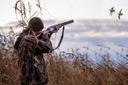 В России подписан закон о возможности брать охотничье оружие в аренду по договору, документ опубликован на портале правовой информации.
Закон устанавливает, что оружие дл