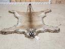 More cool stuff for the fall auction in Maquoketa Iowa October 12-14