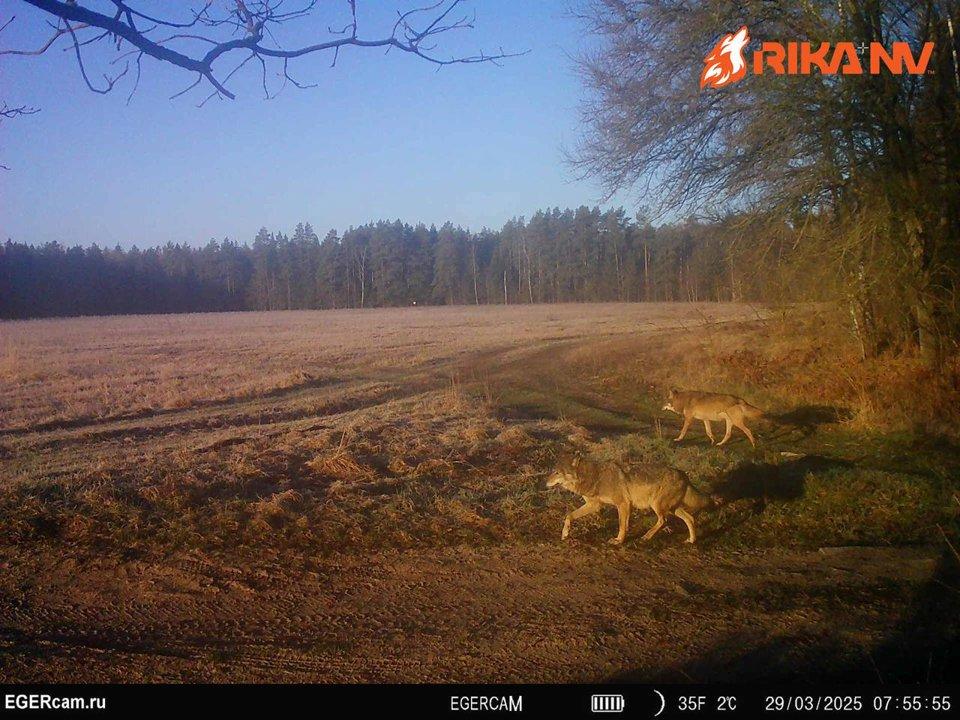 Good morning to all from our RikaNV team!