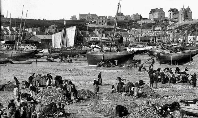 Oyster hunting and sorting in 19th-century France was an essential maritime and culinary practice that reflected both the country’s deep gastronomic traditions and the evolving dynamics of coastal economies.
