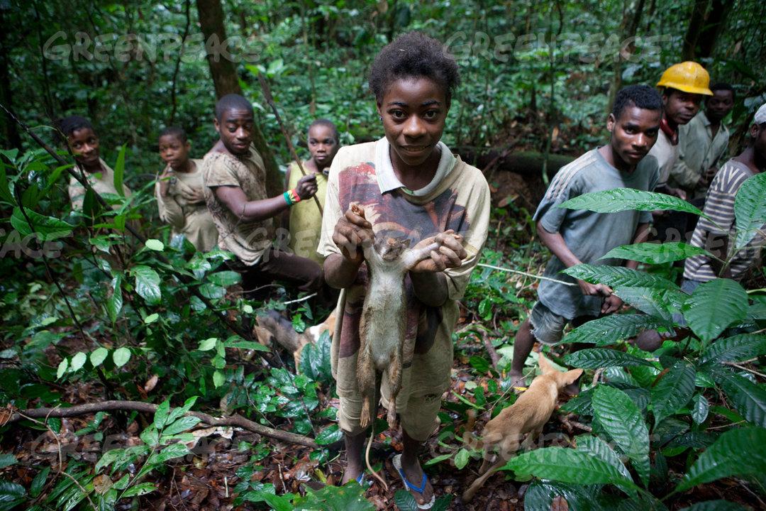 Hunting in East Cameroon: Journey Through Vast Forest Frontiers, Elusive Game, Indigenous Traditions, and Conservation Challenges in a Wild Borderland