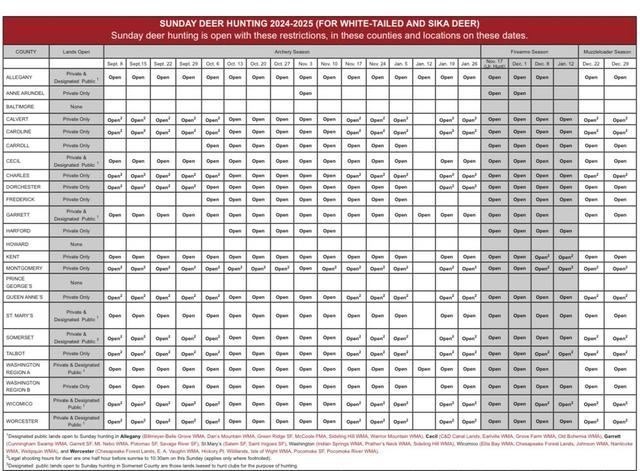 HUNTING SEASON IN MARYLAND 2025–26: Deer Hunting, Big Game and Small Game, Licenses, and Regulations Guide