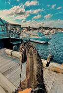 Newburyport Massachusetts 