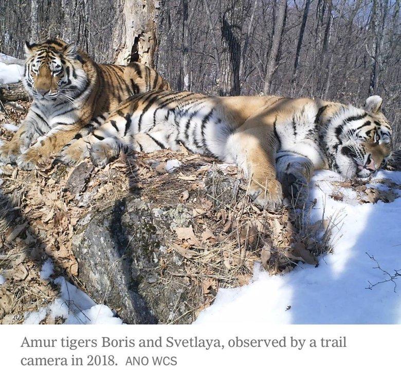 Photo from news post