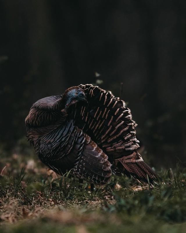 Photo from news post