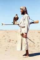 Falconry with peregrine falcon. UAE, 1949.

Photographer: Wilfred Thesiger