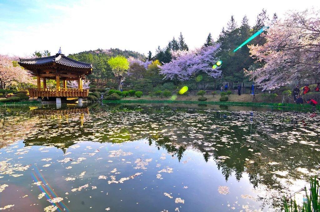 남원시 산림 사냥 