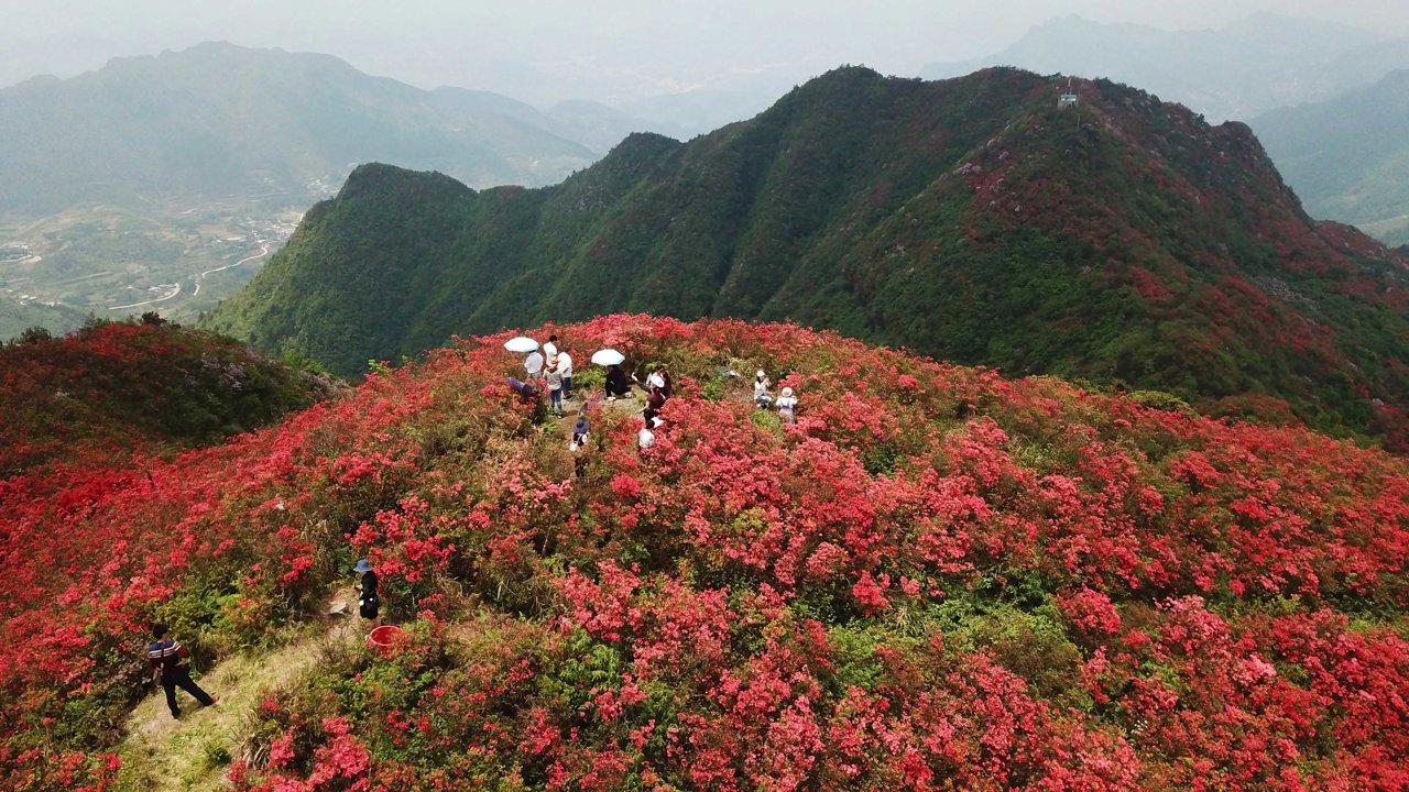 지리산 인근 사냥터 