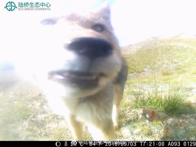 Photo from news post