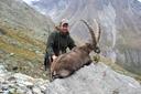 Jagd im Gersau (Kanton Schwyz), Schweiz: Landschaftsmerkmale, Jagdarten, Wildbestände, Abschusszeiten, Interessengruppen, Regelungen und Traditionen

Landschaftsmerkmale des Bezirks Gersau für die Jagd

Der Bezirk Gersau im Kanton Schwyz bietet eine abwechslungsreiche Landschaft, die ideal für die Jagd ist. Die Region ist geprägt von sanften Hügeln, dichten Wäldern und ausgedehnten Weidelandschaften. Diese Lebensräume unterstützen eine Vielzahl von Wildtieren wie Hirsche, Rehe, Füchse und Wildschweine. Die Nähe zu den Flüssen und Seen bietet zusätzliche Möglichkeiten für die Jagd auf Wasservögel. Die abwechslungsreiche Topografie stellt eine besondere Herausforderung dar und bietet gleichzeitig eine reiche Jagderfahrung. Die Nähe zu städtischen Gebieten macht den Bezirk Gersau leicht zugänglich, während die ländliche Umgebung eine ruhige und naturbelassene Atmosphäre bietet.

Jäger und Demografie des Bezirks Gersau

Der Bezirk Gersau hat eine aktive Jagdgemeinschaft mit etwa 200 aktiven Jägern. Diese Jäger sind gut organisiert und engagieren sich in Naturschutzprojekten. Die meisten sind Mitglieder lokaler Jagdvereine, die regelmäßige Treffen und Schulungen anbieten, um ethische und nachhaltige Jagdpraktiken sicherzustellen. Die Jägergemeinschaft setzt sich aus Einheimischen und einigen internationalen Jägern zusammen, die von der einzigartigen Landschaft und dem reichen Wildbestand angezogen werden.

Besonderheiten der Jagd im Bezirk Gersau

Die Jagd im Bezirk Gersau erfordert körperliche Fitness und ausgezeichnete Kenntnisse der lokalen Geografie. Die dichten Wälder und hügeligen Landschaften stellen hohe Anforderungen an die Jäger, die oft stundenlang wandern müssen, um ihre Beute zu finden. Die Jagd ist streng reguliert, um die Wildtierpopulationen gesund und nachhaltig zu halten. Jäger müssen strenge Vorschriften einhalten, einschließlich der Einhaltung von Jagdsaisons und der Verwendung geeigneter Waffen. Die Jagd im Bezirk Gersau ist bekannt für ihre Nachhaltigkeit und den Respekt vor der Natur.

Wildbestände im Bezirk Gersau

Hochwildjagd: Fokus auf Hirsche und Rehe, die in den Wäldern und auf den Weiden weit verbreitet sind. Diese Jagd erfordert Geduld, Geschick und eine gute Kenntnis des Geländes.
Schwarzwildjagd: Wildschweine sind ebenfalls weit verbreitet und stellen eine Herausforderung dar. Spezielle Taktiken und Waffen sind erforderlich, um diese intelligenten und kräftigen Tiere zu jagen.
Kleinwildjagd: Füchse, Hasen und andere kleine Säugetiere werden oft mit Fallen oder kleinkalibrigen Waffen gejagt. Diese Jagdart erfordert präzise Schüsse und ein gutes Auge.
Vogeljagd: Enten, Fasane und andere Vögel werden in den Feuchtgebieten und auf den Feldern gejagt. Diese Jagdart erfordert spezielle Kenntnisse und Ausrüstung.

Jagdsaisons im Bezirk Gersau

Offizielle Saison: Die Hauptsaison für Hochwild wie Hirsche und Rehe beginnt im September und dauert bis Ende Dezember. Die Schwarzwildjagd ist das ganze Jahr über erlaubt, jedoch mit Einschränkungen während der Brutzeit.
Schonzeiten: Während der Schonzeiten von Januar bis August ist die Jagd auf bestimmte Wildtierarten verboten, um die Populationen zu schützen.
Sonderschutz: Für bestimmte Arten wie den Fuchs gelten spezielle Schutzbestimmungen, um die Populationen zu regulieren und zu schützen.

Jagdvereine und -clubs im Bezirk Gersau

Gersau Jagdverein: Der Hauptverband für Jäger im Bezirk Gersau, der Schulungen, Workshops und regelmäßige Treffen anbietet. Der Verein setzt sich für nachhaltige Jagdpraktiken und den Schutz der Wildtiere ein.
Lokale Jagdvereine: Mehrere lokale Vereine spezialisieren sich auf bestimmte Jagdarten oder Wildtierarten und bieten Unterstützung und Schulungen. Diese Vereine arbeiten eng mit den lokalen Behörden zusammen, um die Jagd zu regulieren und zu überwachen.
Naturschutzorganisationen: Diese arbeiten eng mit Jägern zusammen, um nachhaltige Jagdpraktiken zu fördern und die Biodiversität zu erhalten.

Jagdgesetze im Bezirk Gersau

Lizenzen: Jäger benötigen eine gültige Jagdlizenz, die von den kantonalen Behörden ausgestellt wird. Die Lizenz ist an strenge Auflagen gebunden, einschließlich regelmäßiger Schulungen und Einhaltung der Jagdsaisons.
Waffen: Die Verwendung von Schusswaffen ist streng reguliert. Jäger müssen sicherstellen, dass ihre Waffen den gesetzlichen Anforderungen entsprechen und ethisch eingesetzt werden.
Verbote: Die Jagd in Naturschutzgebieten und in der Nähe von Wohngebieten ist verboten. Jäger müssen Sicherheitsabstände zu Straßen und Wanderwegen einhalten.
Meldepflicht: Jäger müssen ihre Jagderfolge den lokalen Behörden melden, um die Wildtierpopulationen zu überwachen und zu regulieren.

Jagdtraditionen im Bezirk Gersau

Eröffnungsjagden: Zu Beginn der Jagdsaison finden traditionelle Eröffnungsjagden statt, bei denen sich Jäger treffen und die Saison offiziell eröffnen. Diese Veranstaltungen sind oft mit festlichen Essen und Trinksprüchen verbunden.
Trophäenpräsentationen: Jäger präsentieren ihre Trophäen bei lokalen Veranstaltungen und Wettbewerben. Diese Präsentationen sind ein wichtiger Bestandteil der Jagdkultur und bieten den Jägern die Möglichkeit, ihre Erfolge zu feiern.
Gemeinschaftsarbeit: Jäger arbeiten eng mit Landwirten und Naturschutzorganisationen zusammen, um nachhaltige Jagdpraktiken zu fördern und die Wildtierpopulationen zu schützen.
