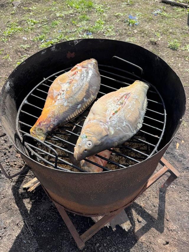 Maxim from the Rila NV team in Stavropol Krai decided to treat us to such culinary delights today🎣