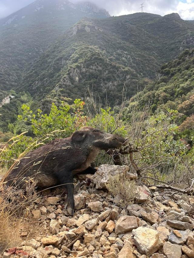 Photo from news post