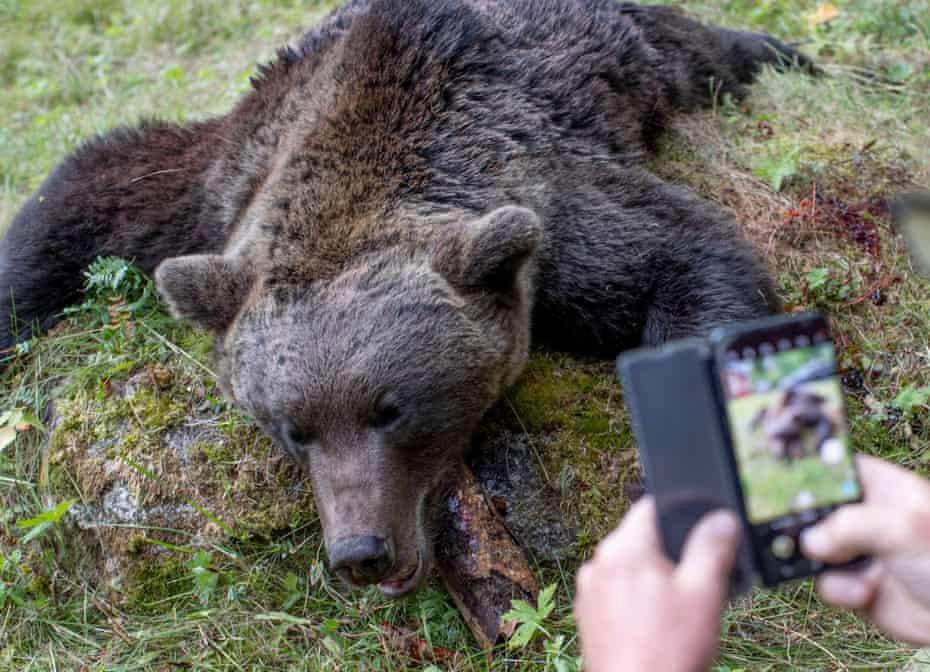 Photo from news post