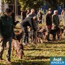 Jagd & Angeln 2025 – Hunting & Fishing Expo
Location: AGRA Exhibition Halls, Leipzig, Germany
Dates: Friday, October 3 – Sunday, October 5, 2025

A Tradition Since 1993
J