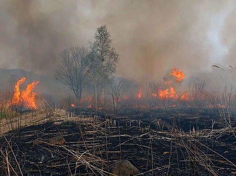 Photo from news post