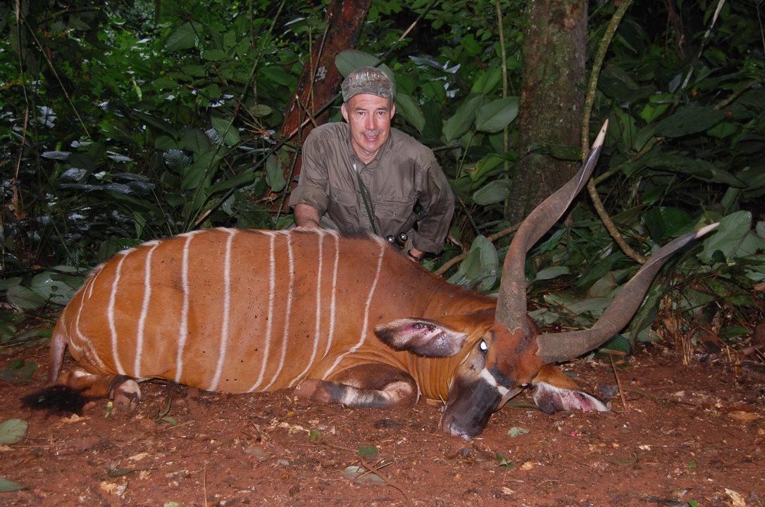 Hunting in Lékoumou: Highland Forests, Community-Based Hunting, and Game Species Variety