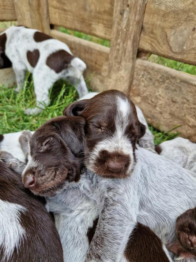 Photo from news post