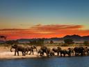 Zimbabwe has begun moving more than 2,500 wild animals from a southern reserve to one in the country's north to rescue them from drought, as the ravages of climate change