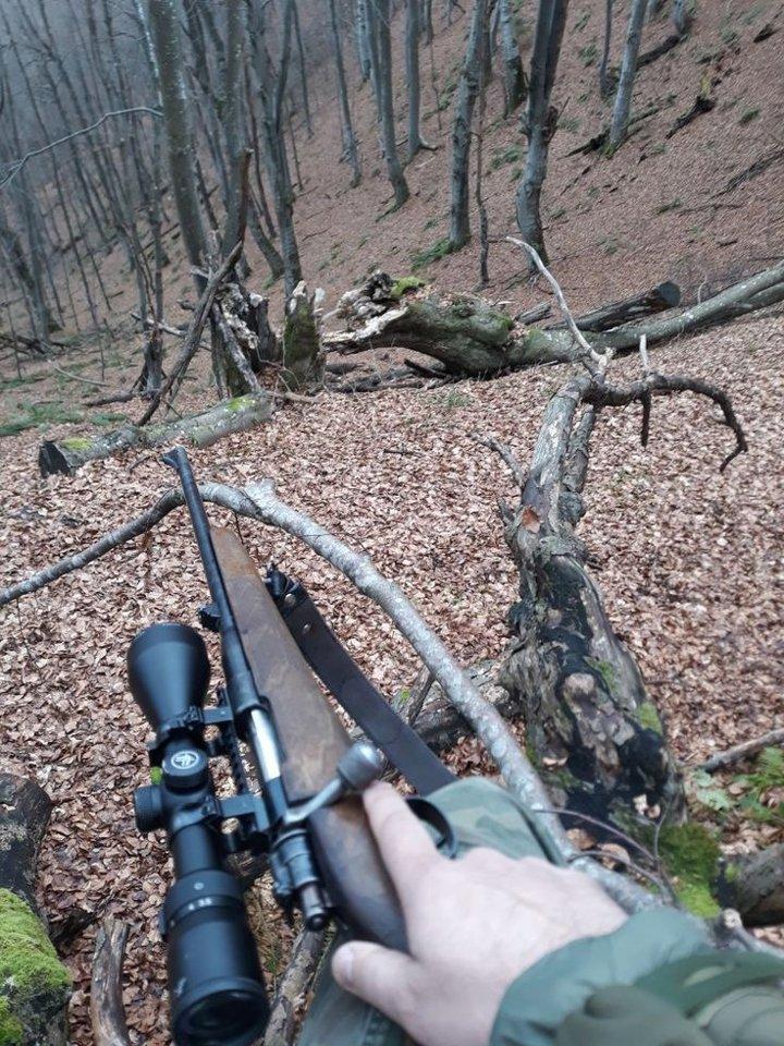hunting morning 🤫
