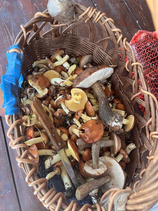 Photo from news post