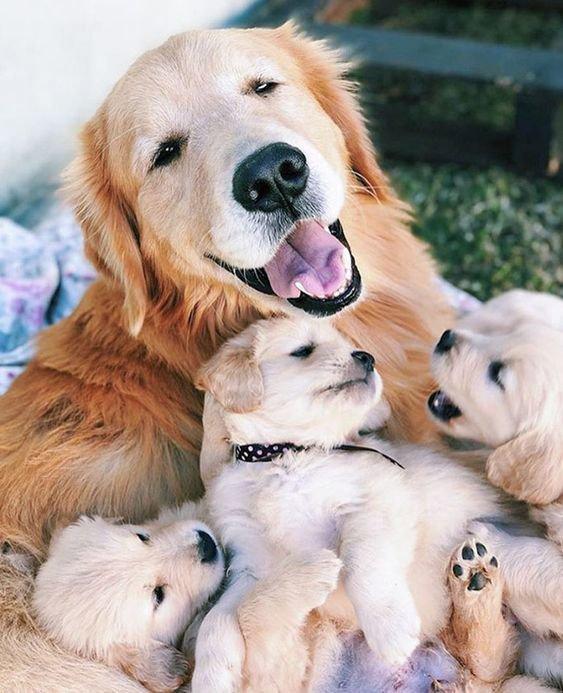 Photo from news post
