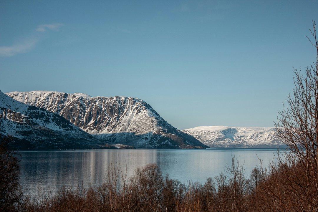 Vestland Roe Deer Hunting: A Unique Norwegian Experience.