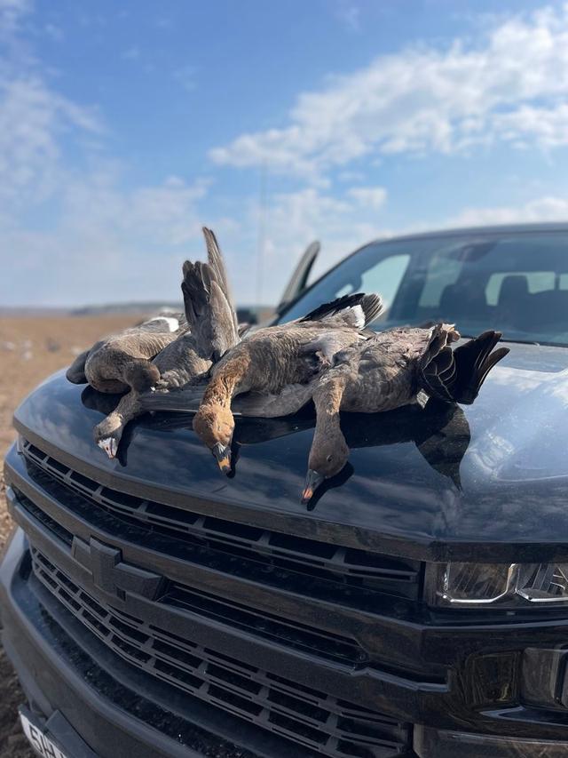 Photo from news post