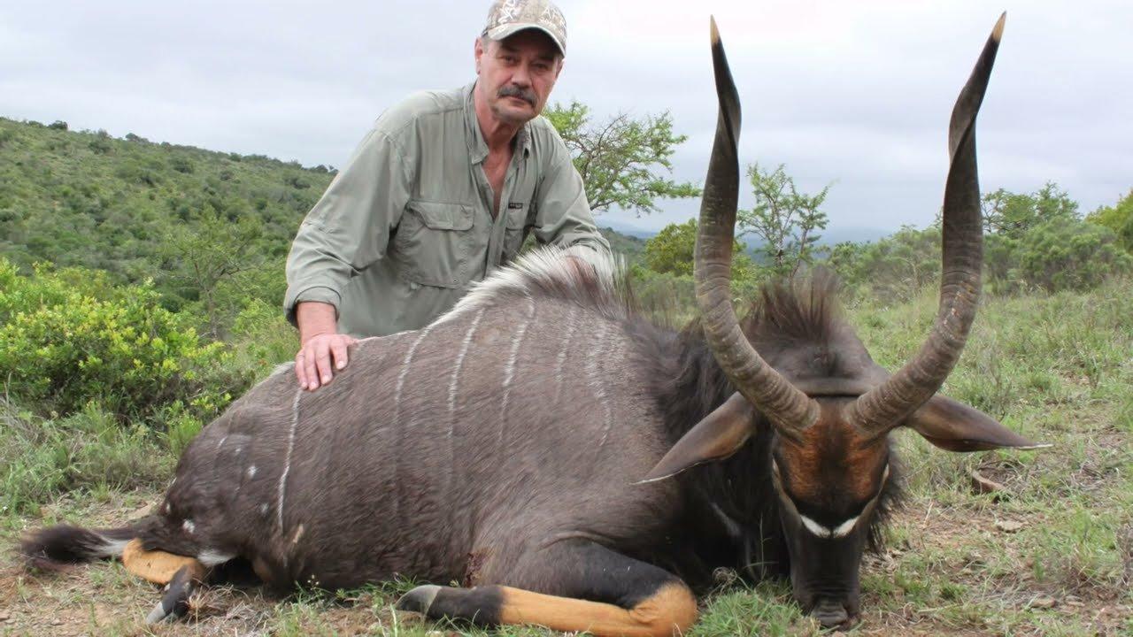 Hunting in Kapchorwa, Uganda: A Thrilling Destination for Unforgettable Hunting Adventures and Cultural Immersion (PART II)