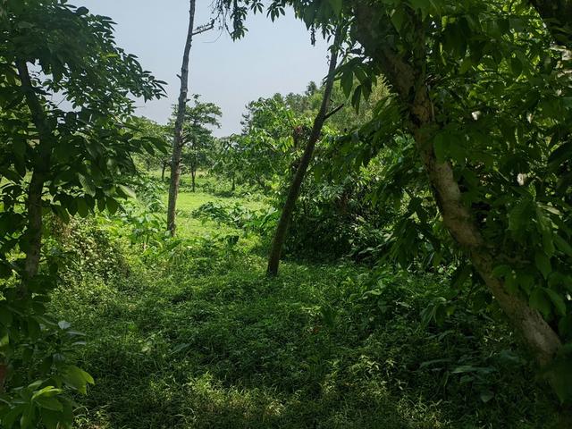 <strong>Hunting</strong> in Ashanti: Learning About <strong>Hunting</strong> Seasons, Specifics, and Discovering Interesting Facts