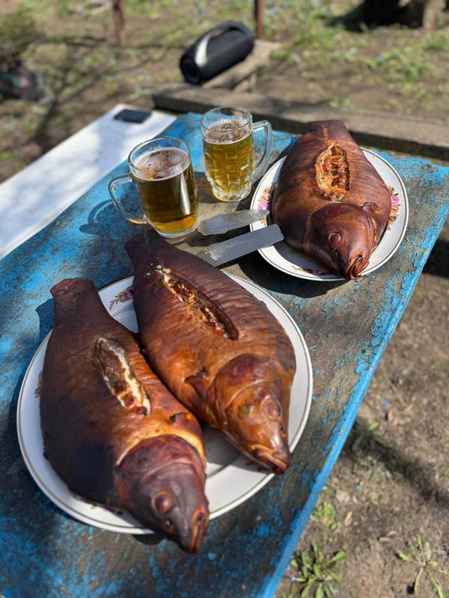 Maxim from the Rila NV team in Stavropol Krai decided to treat us to such culinary delights today🎣
