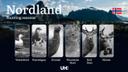 Hunting Dates in Nordland: Seasonality of Hunting, Timing and Regulations, Hunting Permits, Restrictions and Prohibitions

Nordland is renowned for its diverse hunting gr