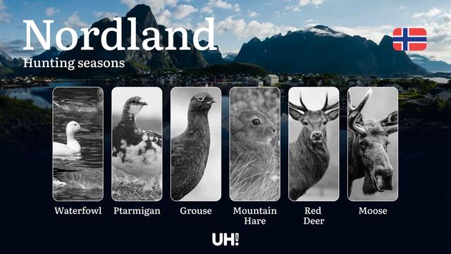 Hunting Dates in Nordland: Seasonality of Hunting, Timing and Regulations, Hunting Permits, Restrictions and Prohibitions