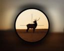 Five Top Tips to Improve Low Light Hunting

Illuminated Reticles
One of the most popular simple solutions to low light hunting is to buy a riflescope with an illuminated reticle, whereby a light source is directed onto the aim points of the reticle, highlighting the reticle in red, green or blue.

The illumination is variable and this allows the shooter to increase the brightness of the reticle to suit the shooting conditions. Hawke Optics have several illuminated riflescopes with illumination control and options of red, green or blue to suit the shooters preference.

Illuminated reticles are most useful at dawn or dusk, after this time it is better to illuminate the target with an external light source.

View the entire collection of Hawke Reticles.



Laser Sights
For those countries that allow hunting with a laser one of the tried and tested methods for seeing the point of aim in low light conditions is to fit a laser pointer to a rifle. The most common method of using a laser is to mount it above the centre of the scope and pointing down to the zeroing distance of the rifle. This allows the red dot to continuously line up with the upright cross of the reticle.


One disadvantage with having the laser above the riflescope is that it’s further away from the barrel and it becomes more difficult to predict the point of impact at closer ranges. For very close range shooting an option that can prove useful is to mount the laser on the side of the scope and as close to the height of the barrel as possible. When the laser dot is zeroed in on the point of impact at 15 yards, for example it can be used as an aiming mark for targets between 10 and 22 yards without being more than .4 of an inch out.

With some practice and by understanding where the dot sits in relation to the point of impact it is possible to shoot accurately, however, after 25 yards (some pointers would work out to about 40 or even 50yds on a clear night) it’s better to revert back to the scope’s reticle and make use of the extra magnification as well. Hawke Optics has several laser targeting system options.


Lamping Kits
Lamping kits are popular for low light hunting; they are affordable & easy to use. However, they sometimes require a power source which can be awkward to carry therefore lamping with a partner can be a benefit.

Alternatively, it is popular to mount a lamp directly onto a rifle scope. The beam from riflescope mounted lamps are bright enough for most ranges. The problem with lamp kits is bright lights can easily scare animals but if the intensity is gradually increased on a dimmer switch the animal will tend to stay still for longer and if a red or green filter is used they seem even more at ease.


Night Vision Equipment & Infra-red lights
The offering of night vision equipment is getting larger with a wide choice to allow shooters to continue hunting after dark. There are a variety of options on offer including dedicated night vision riflescopes and night vision kits that mount to standard day riflescopes.

Mounted night vision equipment, such as NiteSite, converts day riflescopes into powerful night vision systems. Using a state of the art built in infra-red camera that fits to the day riflescope the NiteSite device transmits the scope image, including the cross hairs of the riflescope, onto the LCD screen.

For extra visibility with the night vision equipment infra-red (IR) illumination torches can also be mounted to the riflescope.