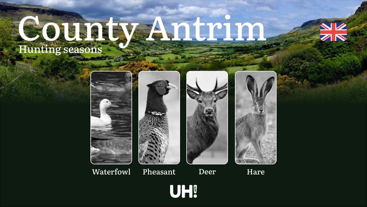 Hunting Seasons and Regulations in County Antrim: Seasonal Patterns and Game Activity, How to Obtain a Hunting License in the Region