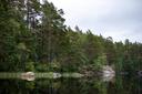 Hunting in Blekinge, Sweden: A Complete Guide for Hunters on Species, Seasons, and Key Tips for a Successful Hunting Experience in Sweden’s Scenic Coastal Region

Bleking