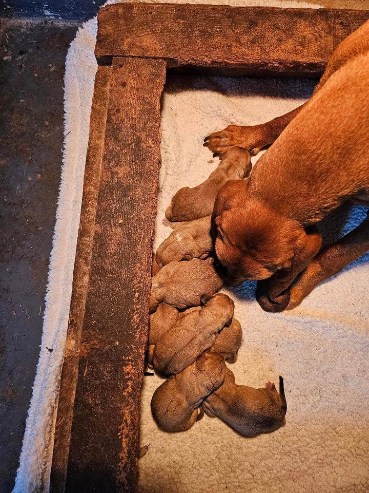 Photo from news post