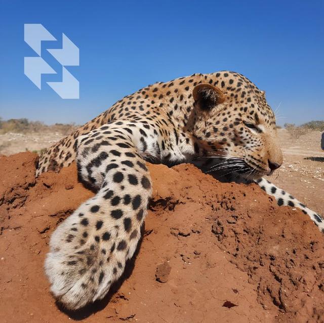 Photo from news post