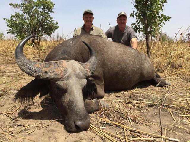 Hunting in Centre-North: Dry flatlands, Sahelian game, Mossi-Fulani tracking culture, survival-driven hunting, and weak institutional control