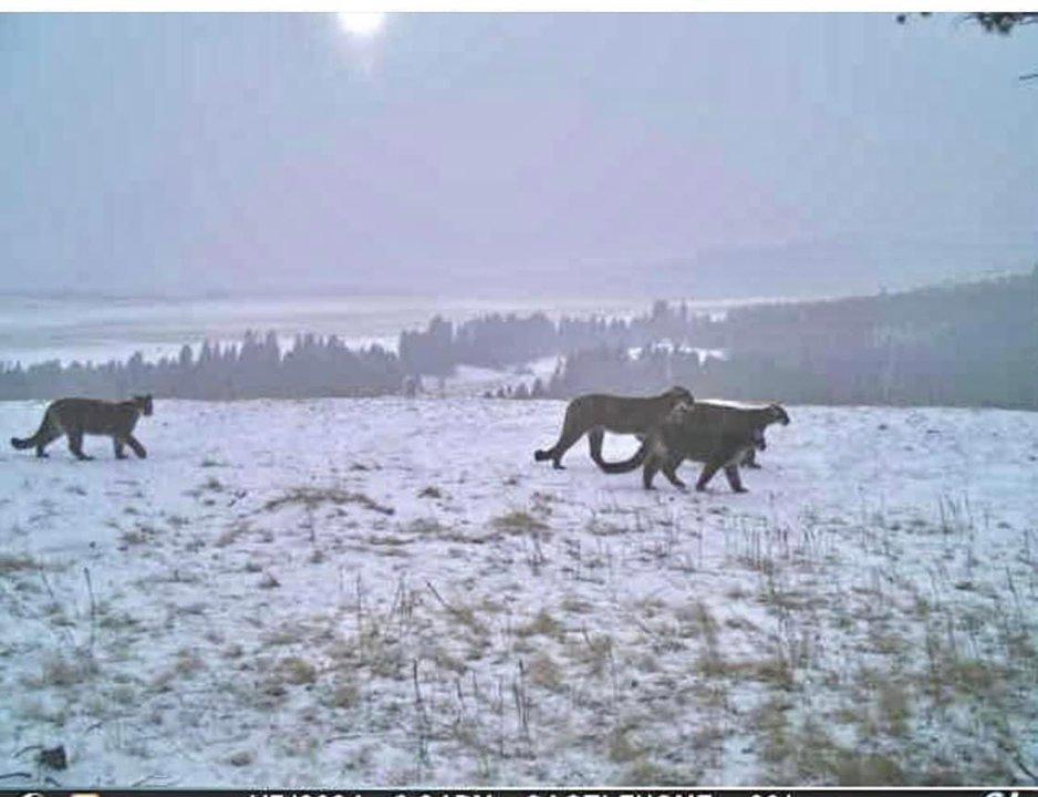 Photo from news post
