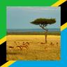 Tanzania: All About Hunting and Fishing, News, Forum avatar