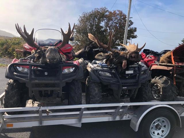 Photo from news post
