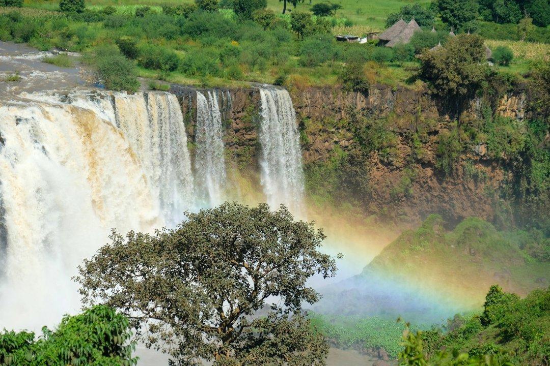 Somali Region Hunting: Unraveling the Region’s Geography, Navigating Local Legislation, and Discovering Fascinating Unique Facts – Your Complete Guide to Adventure