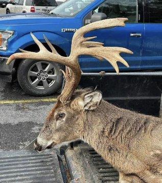 Photo from news post