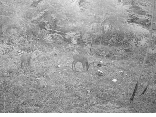 Photo from news post