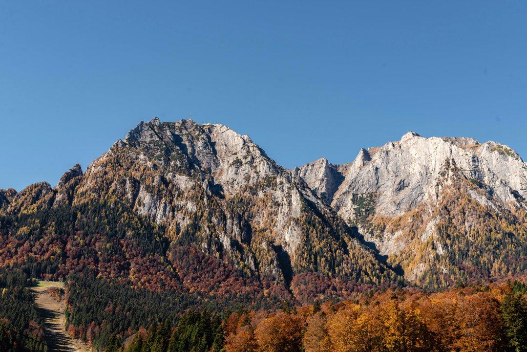 Jagd in Gamprin, Liechtenstein: Geografische Besonderheiten, Jagdmethoden, Wildtiere, Gesetze, Traditionen, Jagdvereine 